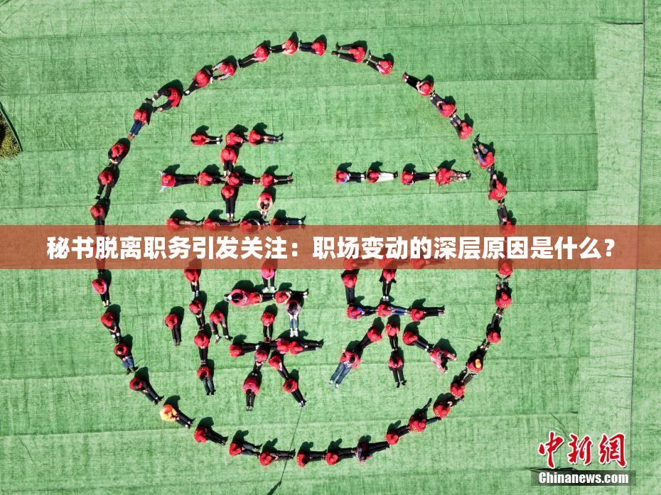 秘书脱离职务引发关注：职场变动的深层原因是什么？