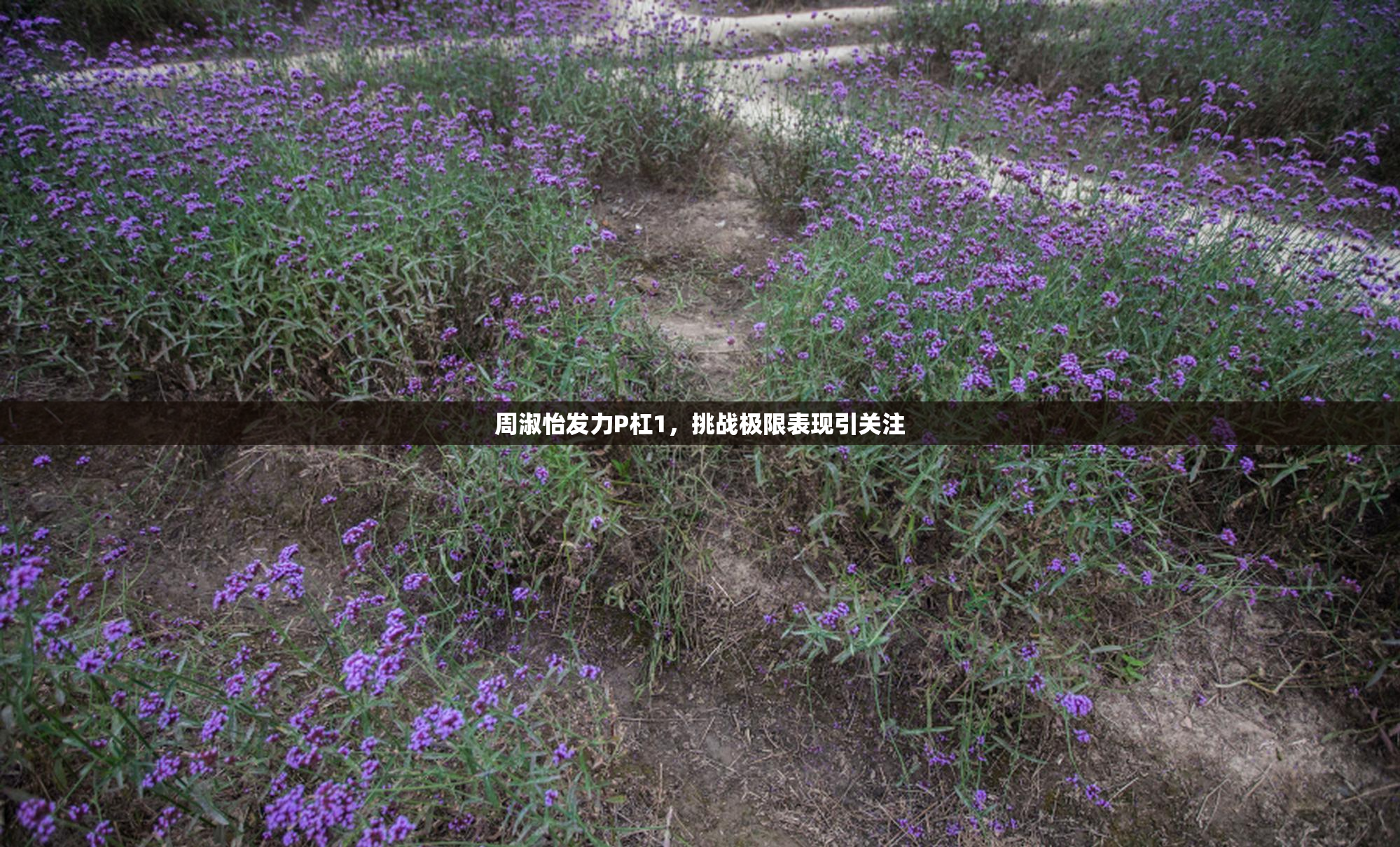 周淑怡发力P杠1，挑战极限表现引关注