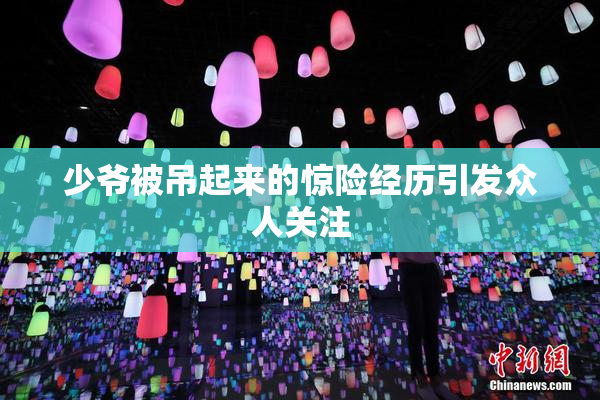 少爷被吊起来的惊险经历引发众人关注