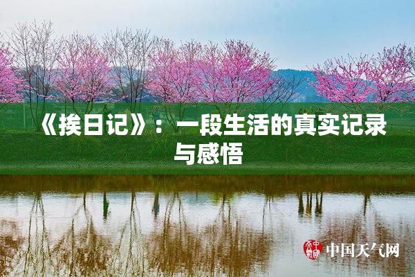 《挨日记》：一段生活的真实记录与感悟