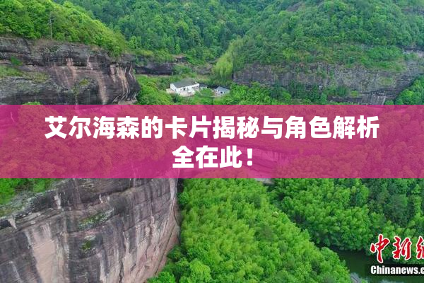 艾尔海森的卡片揭秘与角色解析全在此！