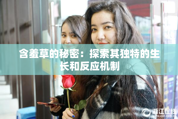 含羞草的秘密：探索其独特的生长和反应机制