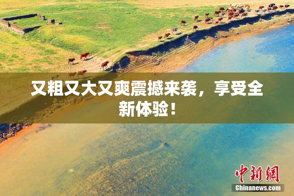 又粗又大又爽震撼来袭，享受全新体验！