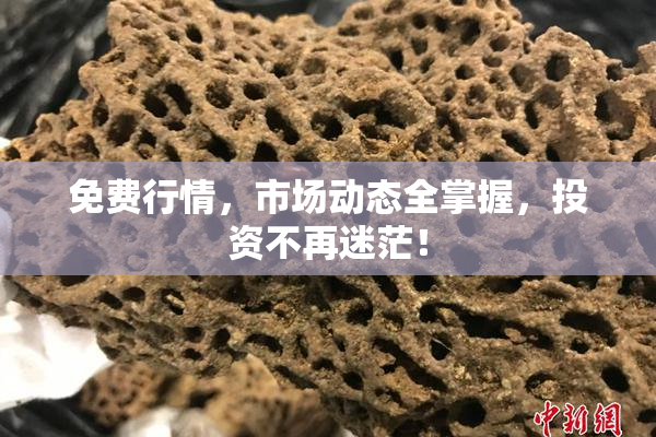 免费行情，市场动态全掌握，投资不再迷茫！