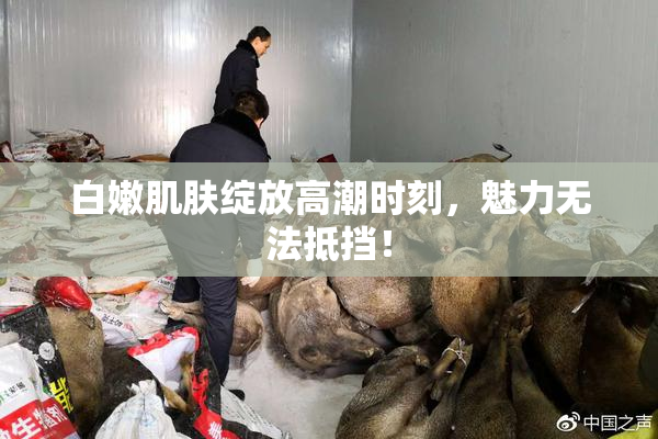 白嫩肌肤绽放高潮时刻，魅力无法抵挡！
