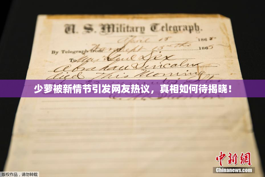 少萝被新情节引发网友热议，真相如何待揭晓！