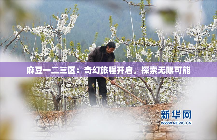麻豆一二三区：奇幻旅程开启，探索无限可能