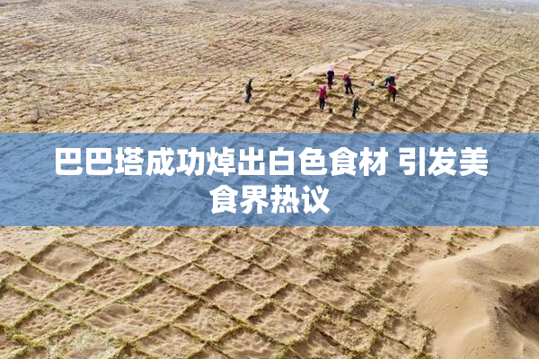 巴巴塔成功焯出白色食材 引发美食界热议