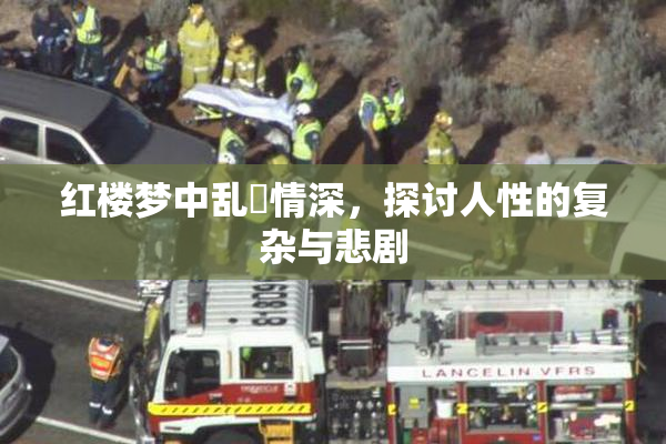 红楼梦中乱婬情深，探讨人性的复杂与悲剧