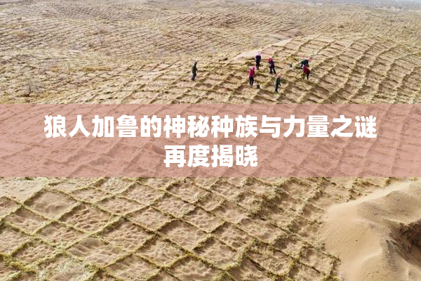 狼人加鲁的神秘种族与力量之谜再度揭晓