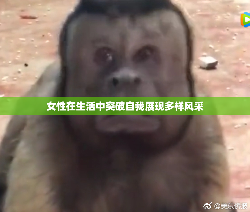 女性在生活中突破自我展现多样风采