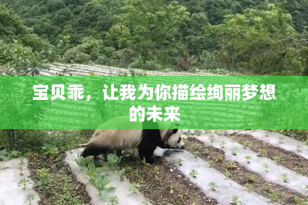 宝贝乖，让我为你描绘绚丽梦想的未来