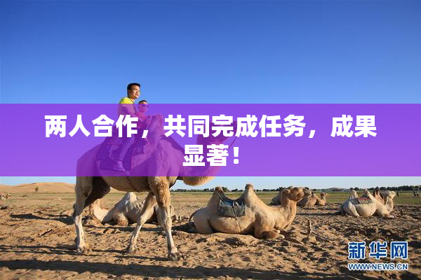 两人合作，共同完成任务，成果显著！