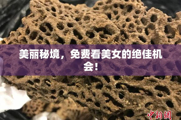 美丽秘境，免费看美女的绝佳机会！