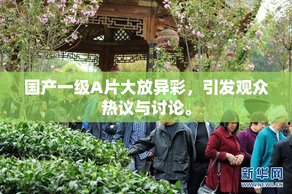国产一级A片大放异彩，引发观众热议与讨论。