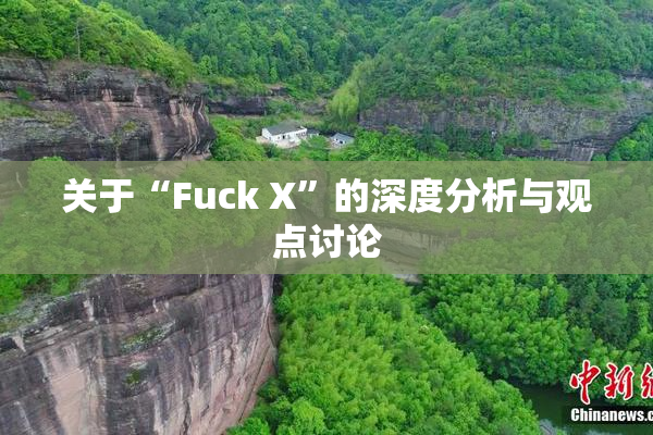 关于“Fuck X”的深度分析与观点讨论