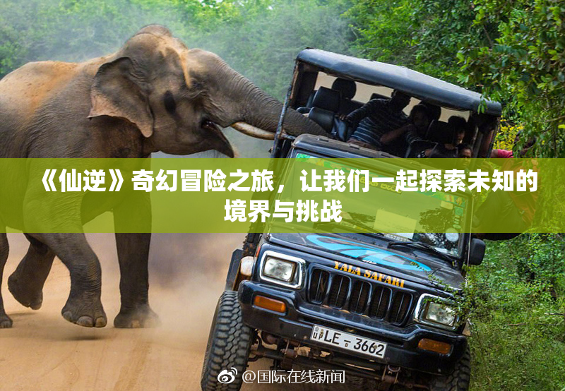 《仙逆》奇幻冒险之旅，让我们一起探索未知的境界与挑战
