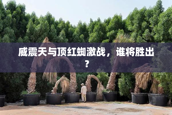 威震天与顶红蜘激战，谁将胜出？