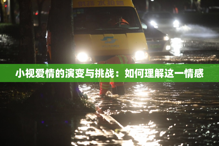 小视爱情的演变与挑战：如何理解这一情感