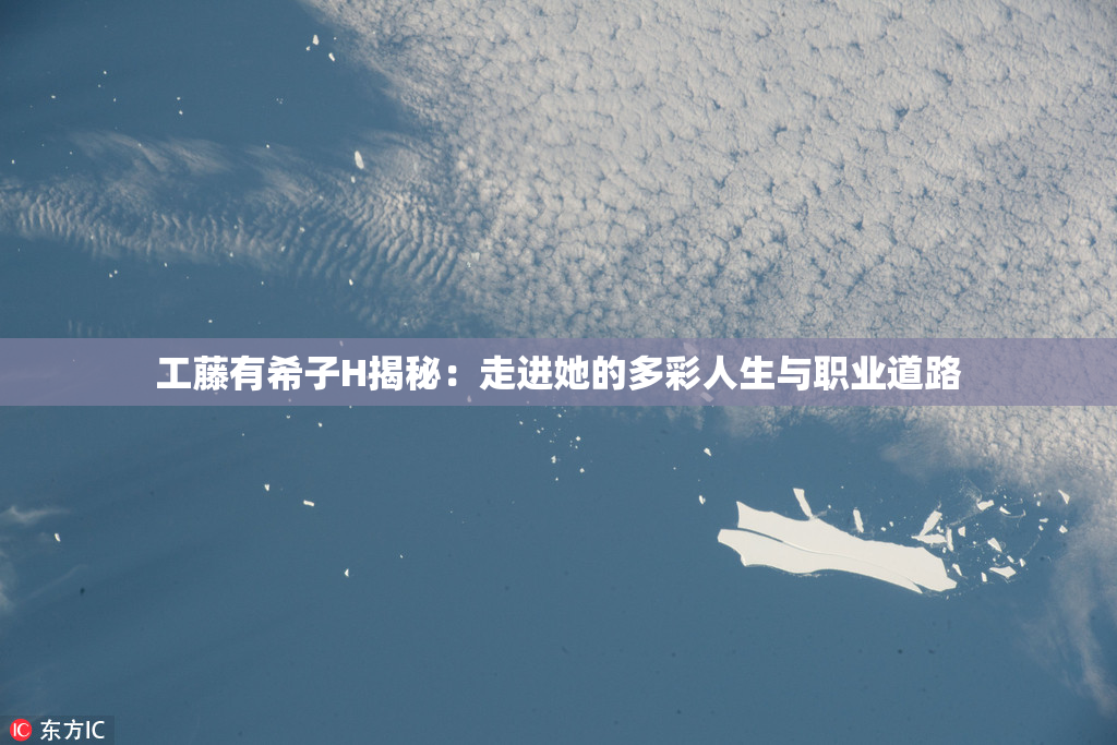 工藤有希子H揭秘：走进她的多彩人生与职业道路