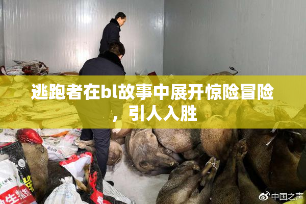 逃跑者在bl故事中展开惊险冒险，引人入胜