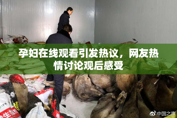 孕妇在线观看引发热议，网友热情讨论观后感受