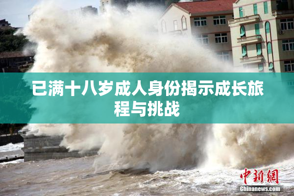 已满十八岁成人身份揭示成长旅程与挑战
