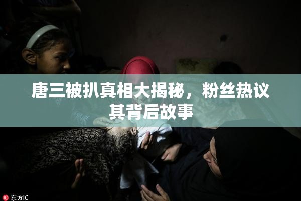 唐三被扒真相大揭秘，粉丝热议其背后故事