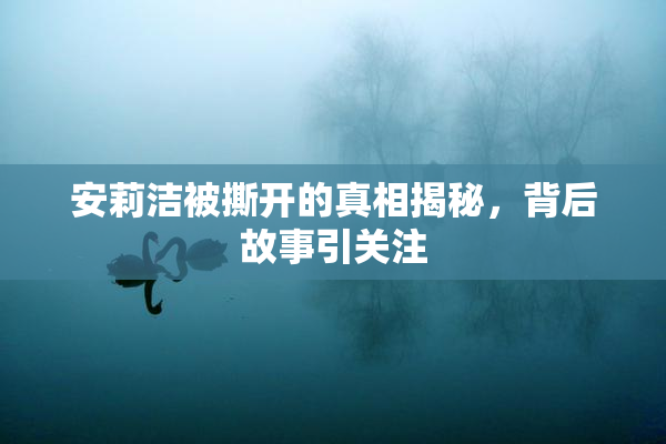 安莉洁被撕开的真相揭秘，背后故事引关注