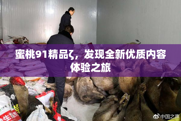 蜜桃91精品ζ，发现全新优质内容体验之旅