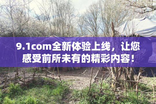 9.1com全新体验上线，让您感受前所未有的精彩内容！