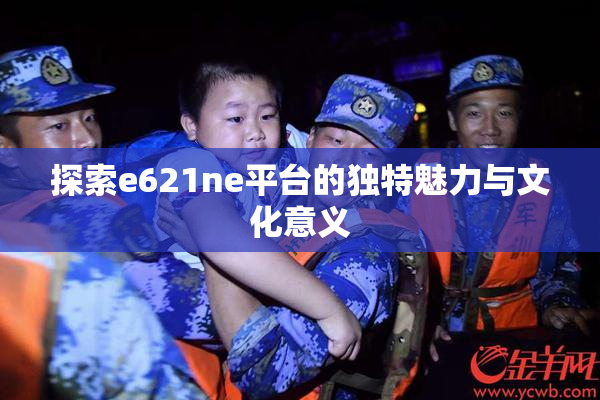 探索e621ne平台的独特魅力与文化意义