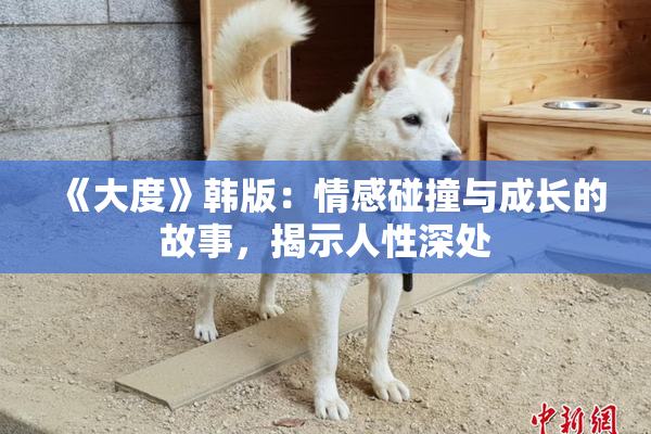 《大度》韩版：情感碰撞与成长的故事，揭示人性深处