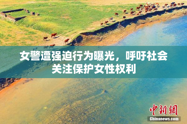 女警遭强迫行为曝光，呼吁社会关注保护女性权利