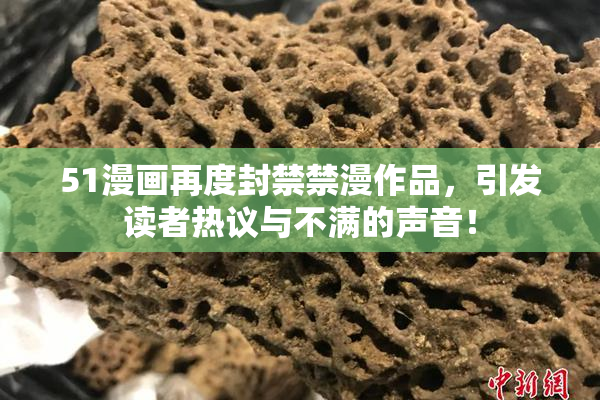 51漫画再度封禁禁漫作品，引发读者热议与不满的声音！
