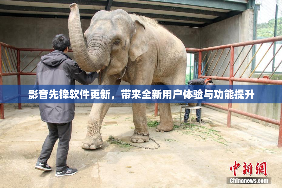 影音先锋软件更新，带来全新用户体验与功能提升