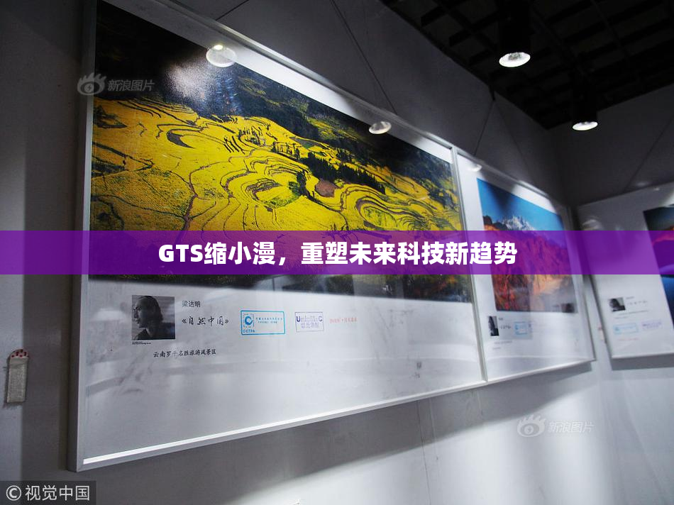 GTS缩小漫，重塑未来科技新趋势