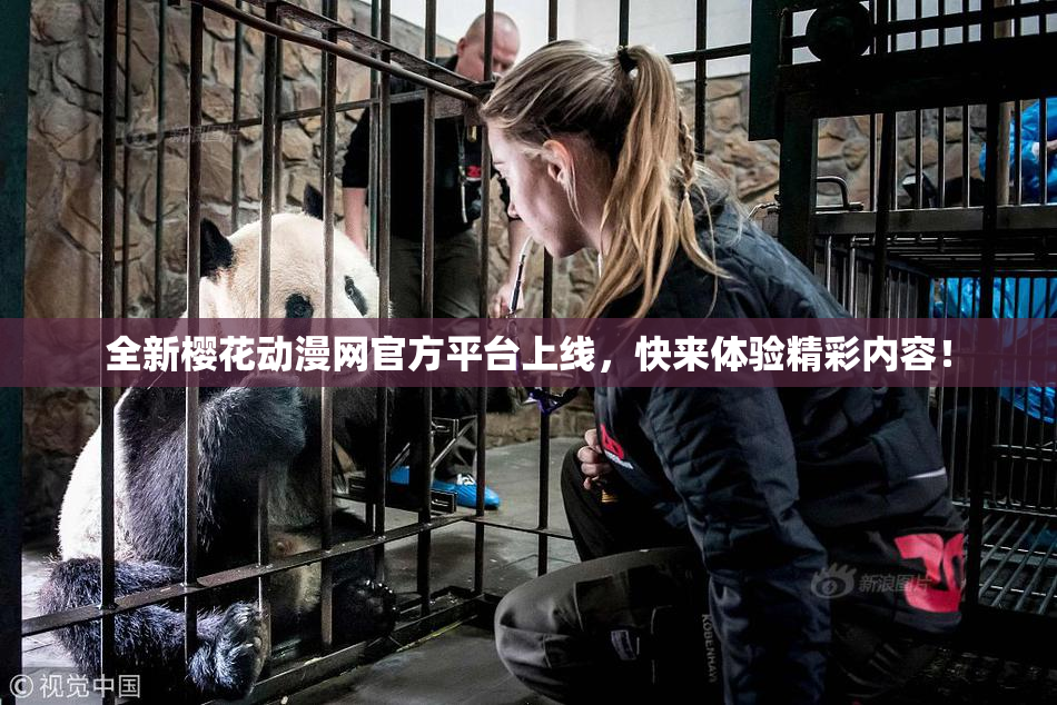 全新樱花动漫网官方平台上线，快来体验精彩内容！