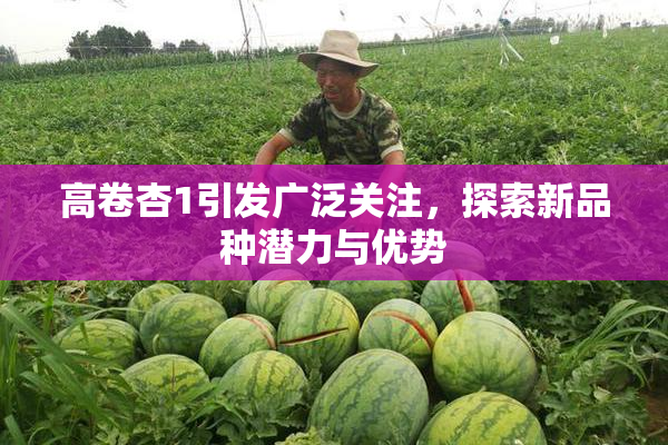 高卷杏1引发广泛关注，探索新品种潜力与优势