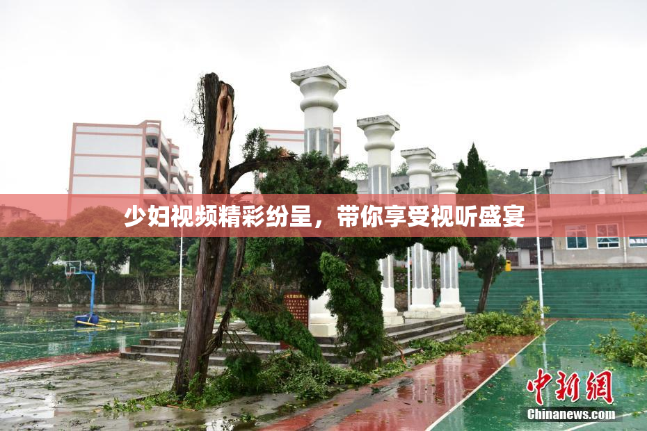 少妇视频精彩纷呈，带你享受视听盛宴