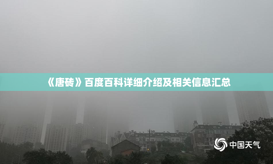 《唐砖》百度百科详细介绍及相关信息汇总