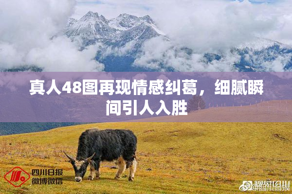 真人48图再现情感纠葛，细腻瞬间引人入胜
