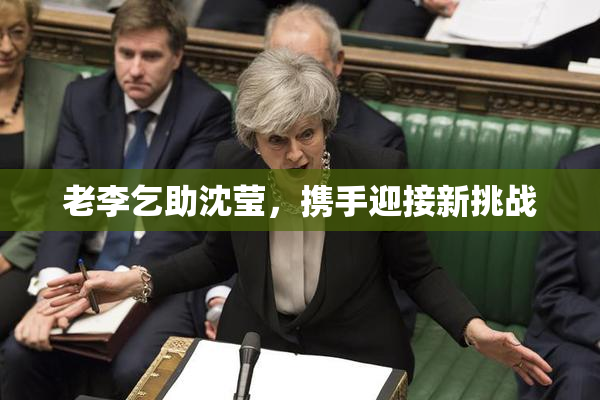 老李乞助沈莹，携手迎接新挑战