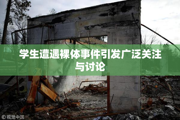 学生遭遇裸体事件引发广泛关注与讨论