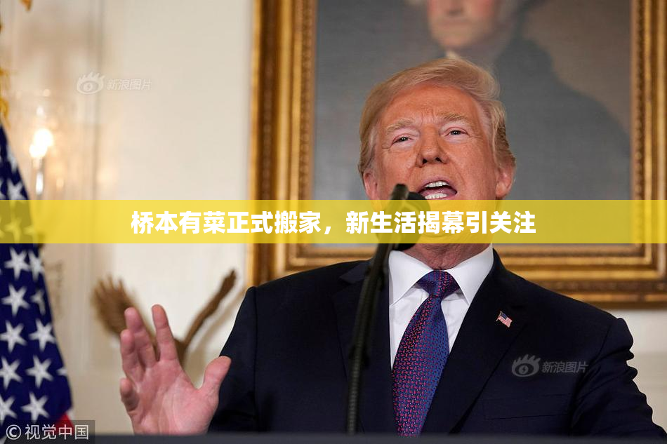 桥本有菜正式搬家，新生活揭幕引关注