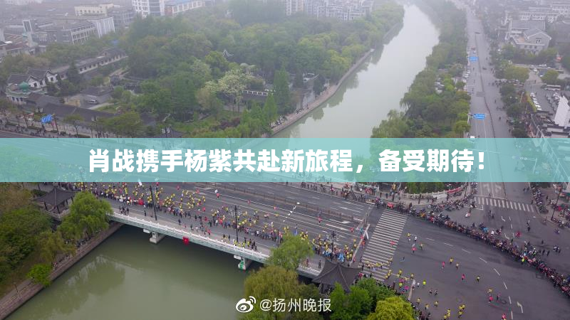 肖战携手杨紫共赴新旅程，备受期待！