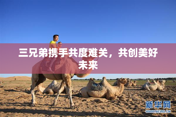 三兄弟携手共度难关，共创美好未来