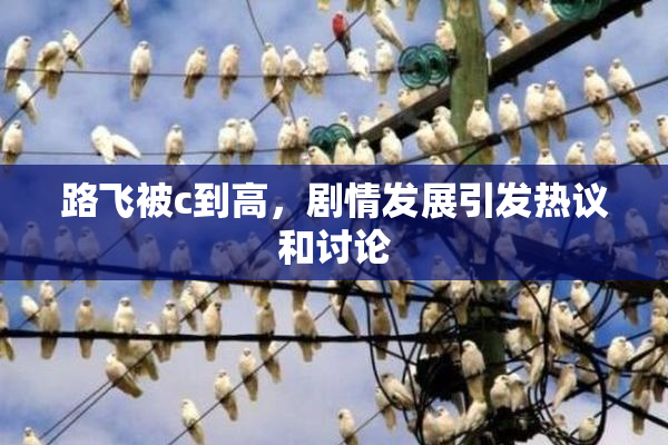 路飞被c到高，剧情发展引发热议和讨论