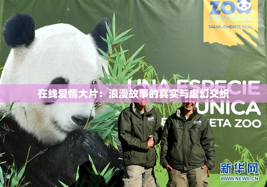 在线爱情大片：浪漫故事的真实与虚幻交织