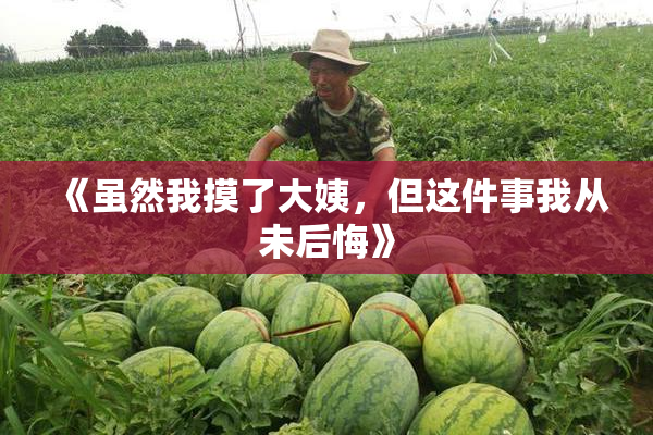《虽然我摸了大姨，但这件事我从未后悔》